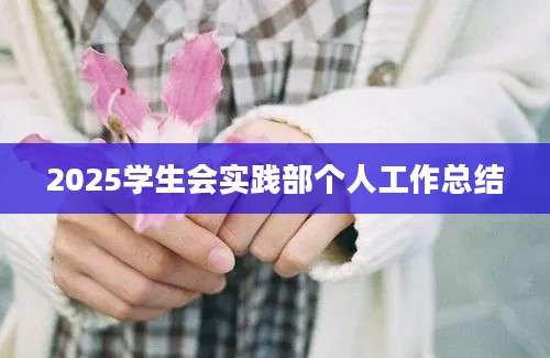 2025学生会实践部个人工作总结