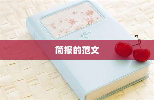 简报的范文