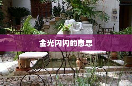 金光闪闪的意思