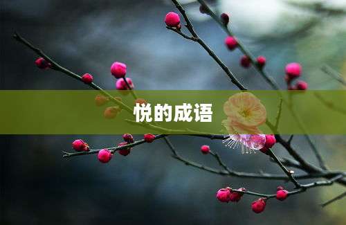 悦的成语