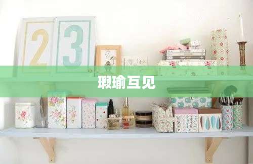 瑕瑜互见