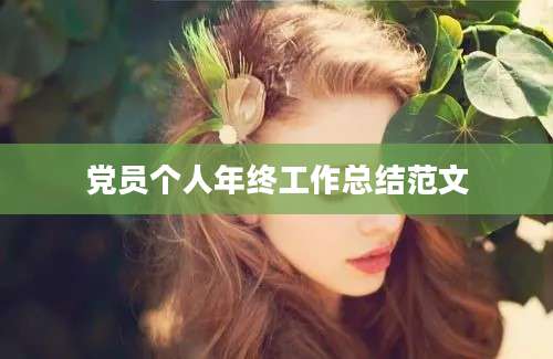 党员个人年终工作总结范文