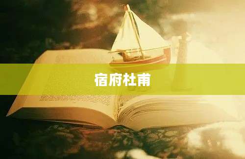 宿府杜甫