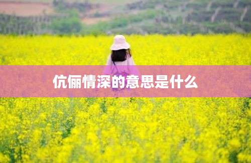 伉俪情深的意思是什么
