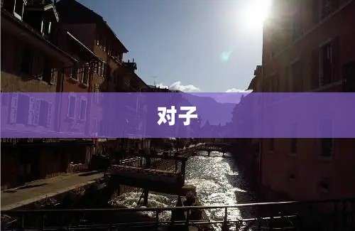 对子