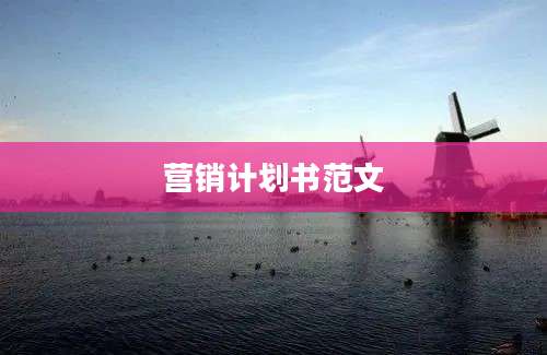 营销计划书范文