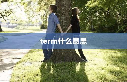 term什么意思