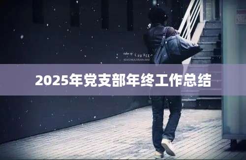 2025年党支部年终工作总结