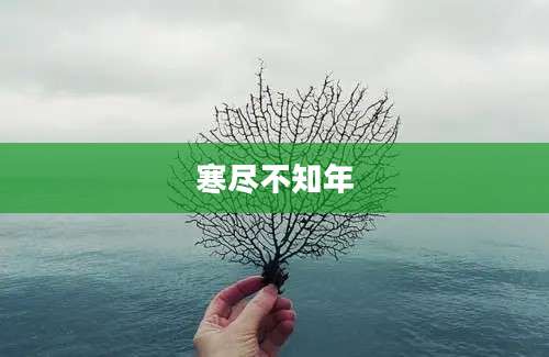 寒尽不知年