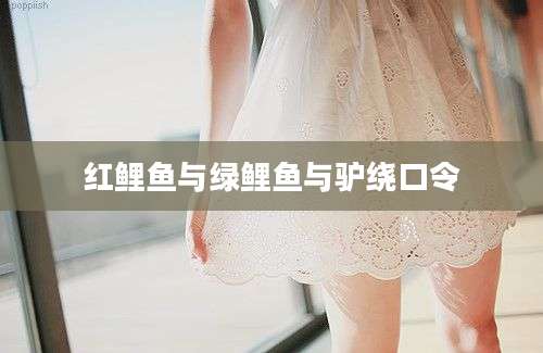 红鲤鱼与绿鲤鱼与驴绕口令