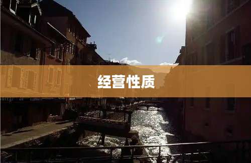 经营性质