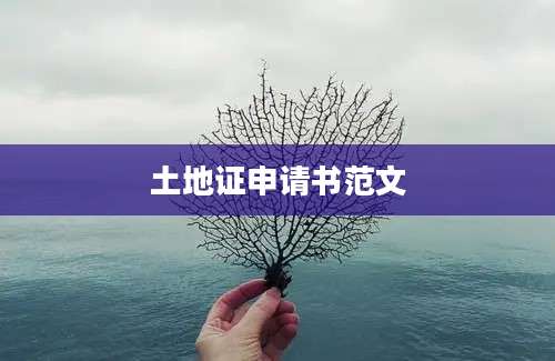 土地证申请书范文