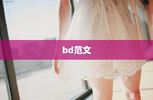 bd范文