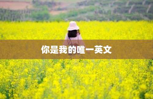 你是我的唯一英文