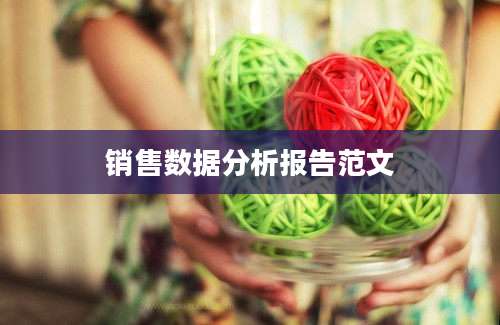 销售数据分析报告范文