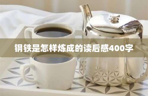 钢铁是怎样炼成的读后感400字
