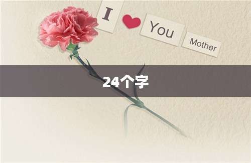 24个字