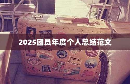2025团员年度个人总结范文