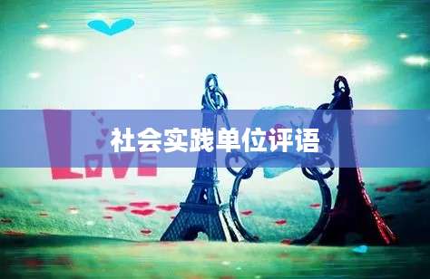 社会实践单位评语