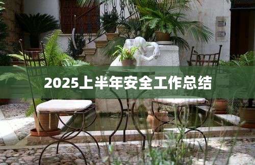 2025上半年安全工作总结