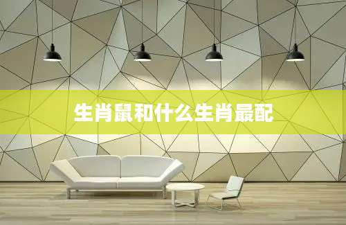 生肖鼠和什么生肖最配