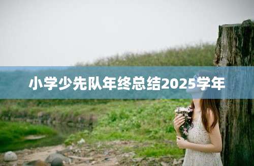 小学少先队年终总结2025学年