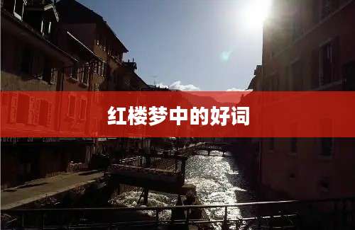 红楼梦中的好词