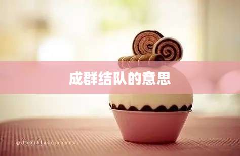 成群结队的意思