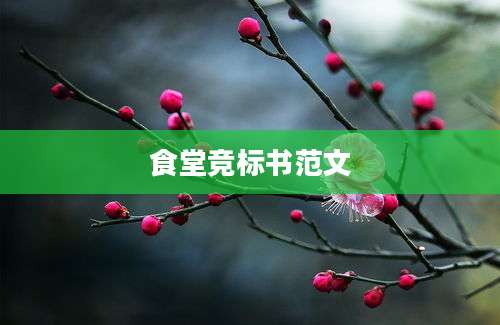 食堂竞标书范文