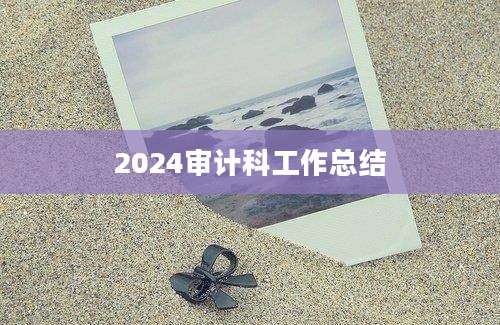 2024审计科工作总结
