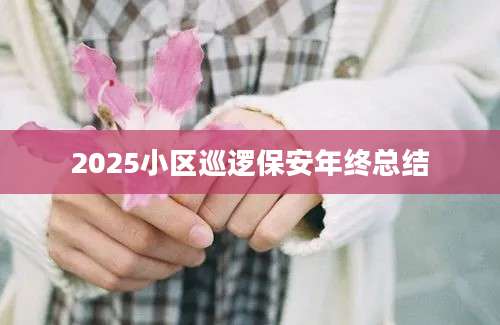 2025小区巡逻保安年终总结
