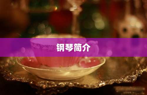 钢琴简介