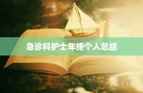 急诊科护士年终个人总结