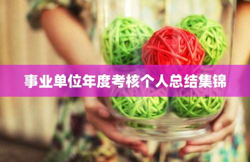 事业单位年度考核个人总结集锦