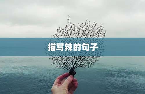 描写辣的句子