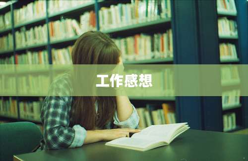工作感想