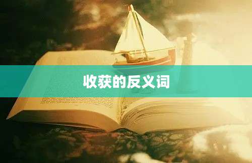 收获的反义词