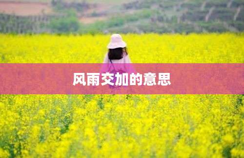 风雨交加的意思
