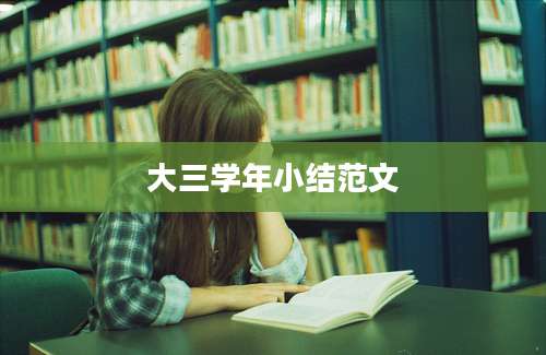 大三学年小结范文