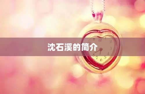 沈石溪的简介