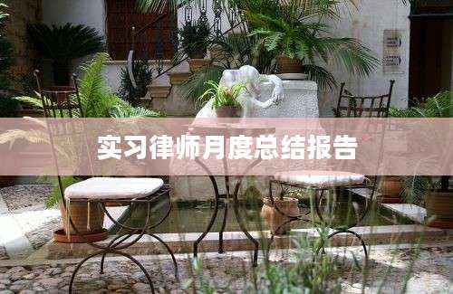 实习律师月度总结报告