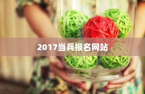 2017当兵报名网站