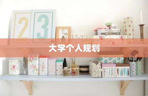 大学个人规划