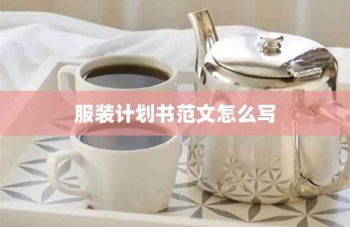 服装计划书范文怎么写