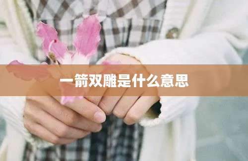 一箭双雕是什么意思