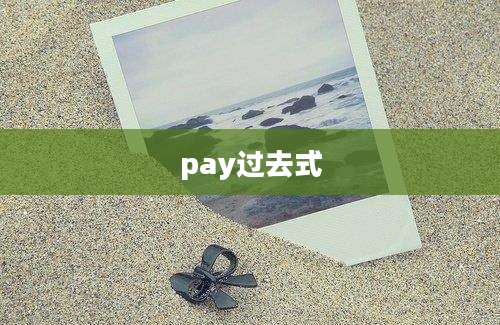 pay过去式