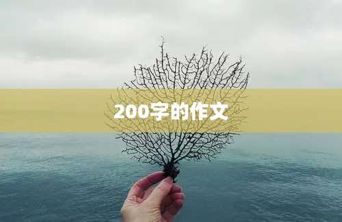 200字的作文