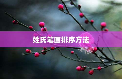 姓氏笔画排序方法