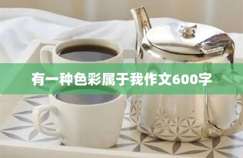 有一种色彩属于我作文600字