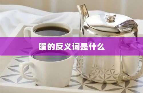 暖的反义词是什么